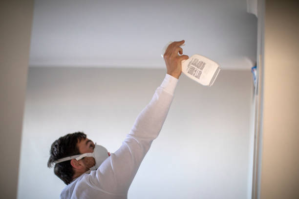 Best Emergency Mold Removal  in Saugerties South, NY